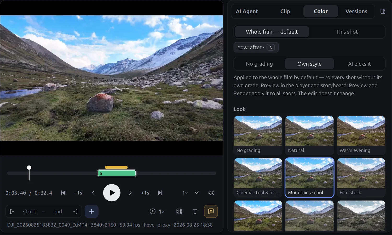 The Color panel next to the player: a grid of looks such as Natural, Warm evening and Mountains cool, a strength slider and fine-tuning sliders.